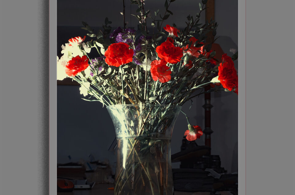 Rozen